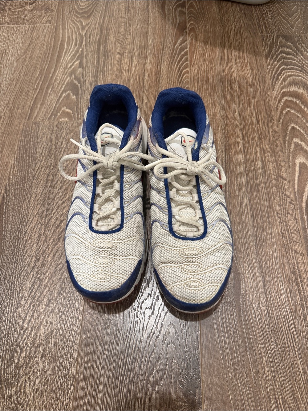 Nike TN Shoes